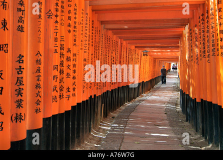 Orange lackiert Torii-Tore im Fushimi Inari-Taisha-Schrein in Kyoto Japan Stockfoto