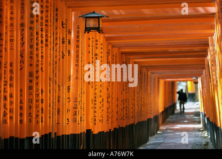 Orange lackiert Torii-Tore im Fushimi Inari-Taisha-Schrein in Kyoto Japan Stockfoto