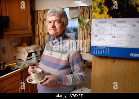 GEMEINDESTEUER DEMONSTRANT SYLVIA HARDY AUS EXETER UK FEB 2007 Stockfoto