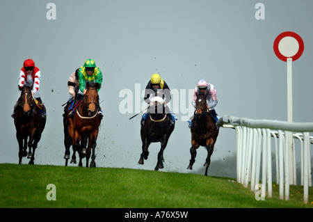 Kommen auf der Zielgeraden bei Brighton Rennen für Hals und Nacken Ergebnis Stockfoto