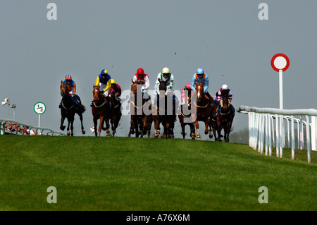 Kommen auf der Zielgeraden bei Brighton Rennen für Hals und Nacken Ergebnis Stockfoto