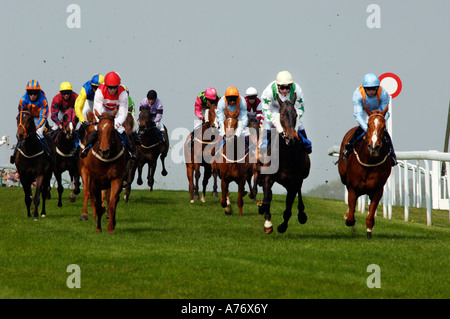 Kommen auf der Zielgeraden bei Brighton Rennen für Hals und Nacken Ergebnis Stockfoto