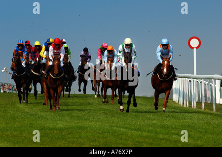 Kommen auf der Zielgeraden bei Brighton Rennen für Hals und Nacken Ergebnis Stockfoto