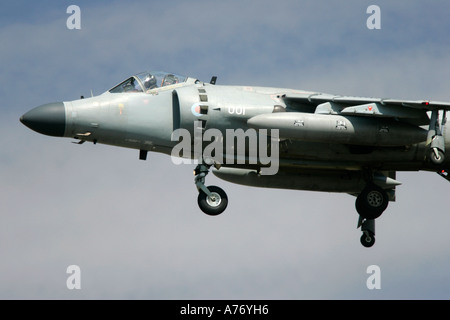 Royal Navy Sea Harrier FA2 T8 schwebt mit Fahrgestell unten an der RIAT 2005 RAF Fairford Gloucestershire England UK Stockfoto