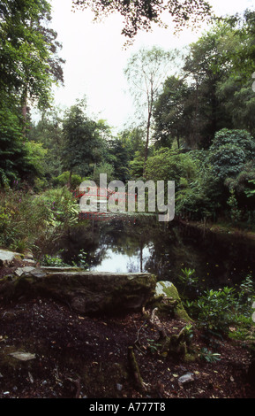 Teich und japanische Brücke Portmeirion Nummer 2311 Stockfoto