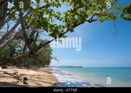 Khao Lak Strand in der Nähe von Khao Lak Merlin Hotel, Khao Lak, Provinz Phang Nga, Thailand Stockfoto