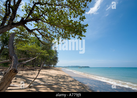 Khao Lak Strand in der Nähe von Khao Lak Merlin Hotel, Khao Lak, Provinz Phang Nga, Thailand Stockfoto