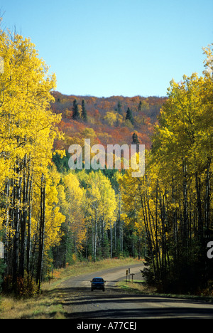 HERBST FARBEN LINIE STRAßE IM NÖRDLICHEN MINNESOTA PFEILSPITZE REGION. FALLEN. Stockfoto