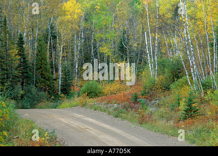 FOREST SERVICE ROAD IN CHIPPEWA NATIONAL FOREST, GROßE GABEL, MINNESOTA. FALLEN. Stockfoto