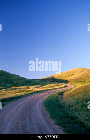 FELDWEG UND BLAUER HIMMEL IM WIND CAVE NATIONAL PARK, SOUTH DAKOTA. SPÄTEN FRÜHJAHR. Stockfoto