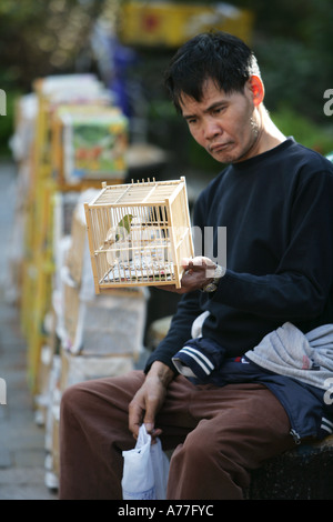 CHN-China-Hongkong 23 02 2006-Birdmarket in Kowloon Stockfoto