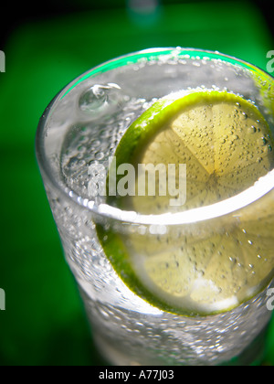 Gin Tonic mit Eis und einer Scheibe Stockfoto