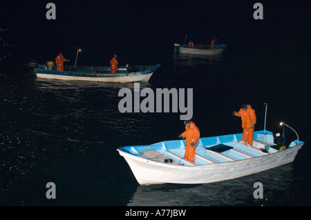 Tintenfisch-Fischer in der Nacht, Santa Rosalia, Baja California, Sea of Cortez, Mexiko Stockfoto