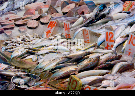 Eine Nahaufnahme von frischem Fisch auf dem Display an der Wan Chai nassen Markt in Hongkong. Stockfoto