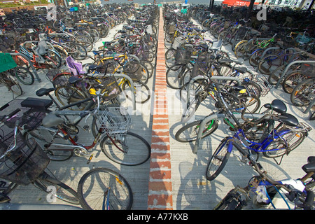 Reihen von Fahrrädern an der Fähranlegestelle Parkplatz von Mui Wo auf Lantau Island in Hongkong. Stockfoto