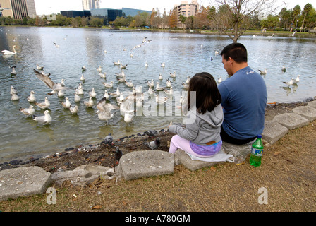 Fütterung der Vögel im Eola Park Downtown Orlando Florida USA Stockfoto