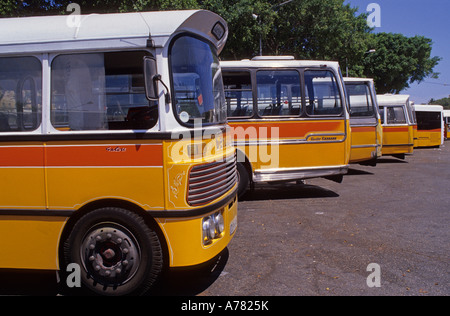 die traditionellen bunten maltesischen Busse geparkt in einer Reihe in La Valletta Malta Stockfoto