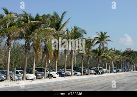 Parkplatz parken unglaubliche Aussicht unendlich endlos Wasser Straße große Wasser Amerika Amerika Strand Strände Küste Stockfoto