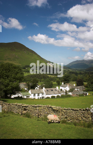Hütten im Little Town in Newlands Tal im Lake District im Sommer Stockfoto