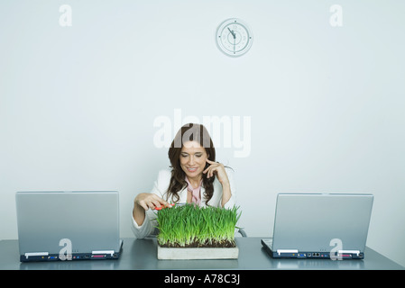 Frau trimmen Tablett mit Weizengras Stockfoto