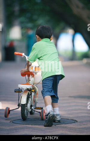 Junge zu Fuß mit dem Fahrrad mit Stützrädern, Rückansicht Stockfoto