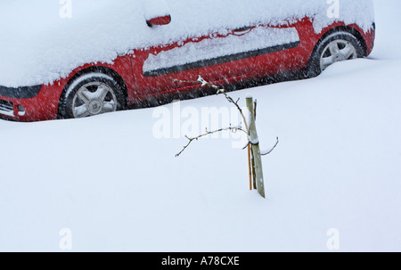 AUTO IM TIEFEN SCHNEE STECKEN Stockfoto