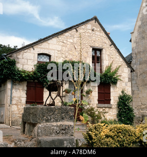 Traditionelles Steinhaus mit Wasser gut Crissay-Sur-Pfarrhaus in der Nähe von Chinon Indre-et-Loire Centre Frankreich Stockfoto