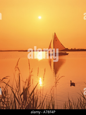 Sonnenuntergang auf den Norfolk Broads, horsey Mere, Norfolk, england Stockfoto