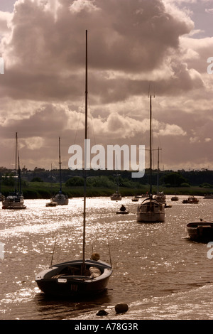 UK Devon Topsham Exe Flussschiffen am späten Nachmittag Stockfoto