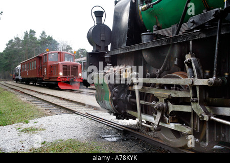 Alte Eisenbahnen treffen auf Dalhem Bahnhof und Museum. Dampf-Motor aus dem Jahre 1908 und Diesel Lokomotive aus dem Jahr 1956. Gotland Stockfoto