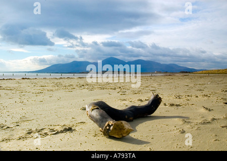 Mourne Mountains von Tyrella Strand, County Down, Nordirland Stockfoto