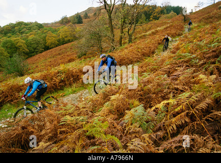 Mountainbiker fahren einen eingleisigen Pfad im Lake District, Großbritannien Stockfoto