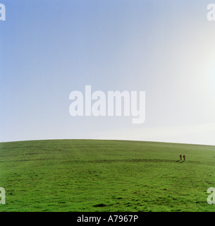 Mountainbiker auf den North Downs, Spätsommer/Herbst Stockfoto