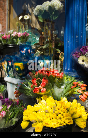 CHICAGO Illinois Trauben von Tulpen Narzissen Frühlingsblumen in Containern vor floral Shop Old Town Nachbarschaft Stockfoto