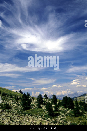 Frankreich Alpen Provence Col de Vars Hautes Alpes Frankreich Europa Eu Europäische union Reisebilder von Frankreich Französisch Stockfoto