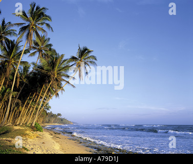 Bentota Beach Sri Lanka Stockfoto