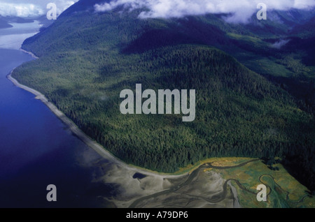 Luftbild aus Kleinflugzeug von Alaska Küste und Pine Forest von Juneau, Gustavus USA Stockfoto
