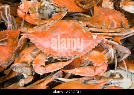 Washington DC frischen Fisch und Schalentiere Lebensmittelmarkt Maine Ave Chesapeake Bay Blue Crab und verschiedene Fische zu verkaufen Stockfoto