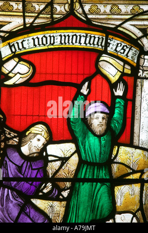 Alten Glasmalereien in St Neot Kirche, Bodmin Moor, Cornwall, UK Stockfoto