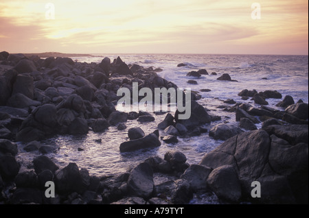 Sonnenuntergang über schroffen felsigen nördlichen Strand von Aruba. Stockfoto