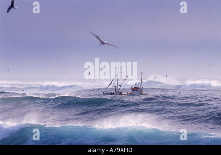 Fischkutter in Nord-Atlantik, Island Stockfoto