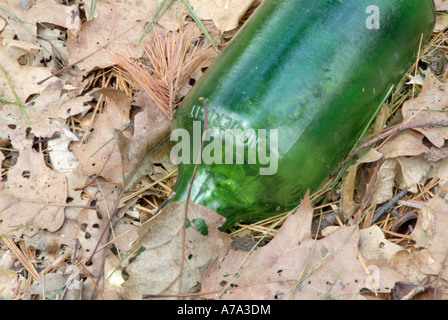 Wurf geworfen, in der Nähe von einem Wanderweg Stockfoto