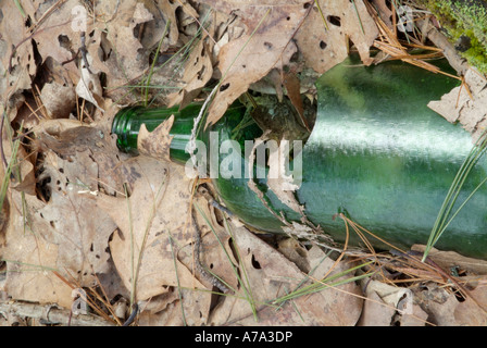 Wurf geworfen, in der Nähe von einem Wanderweg Stockfoto