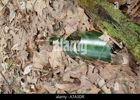 Wurf geworfen, in der Nähe von einem Wanderweg Stockfoto