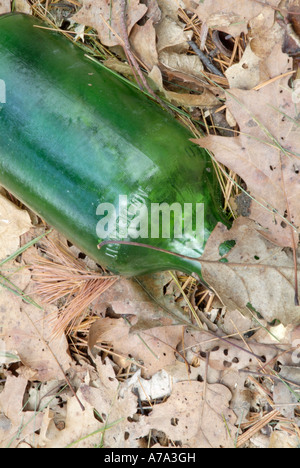 Wurf geworfen, in der Nähe von einem Wanderweg Stockfoto