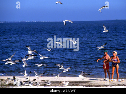 Feeding Vögel Florida weißen Strand von Pensacola alte Menschen Mann Frau Fütterung Vögel Stockfoto