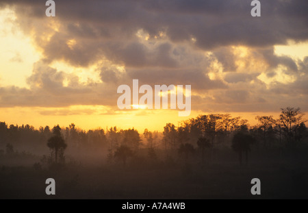 Everglades Sonnenuntergang Sumpf Sumpf Wasser Feuchtgebiet Stockfoto