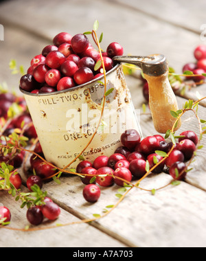 Antike Mehlsieb voller Frische cranberries Stockfoto