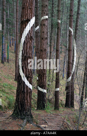 Agustin Ibarrolas gemalte Wald, Vizcaya, Spanien Stockfoto