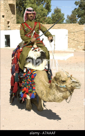 Jordanische Dessert Polizist auf Kamel, Petra Jordan Stockfoto